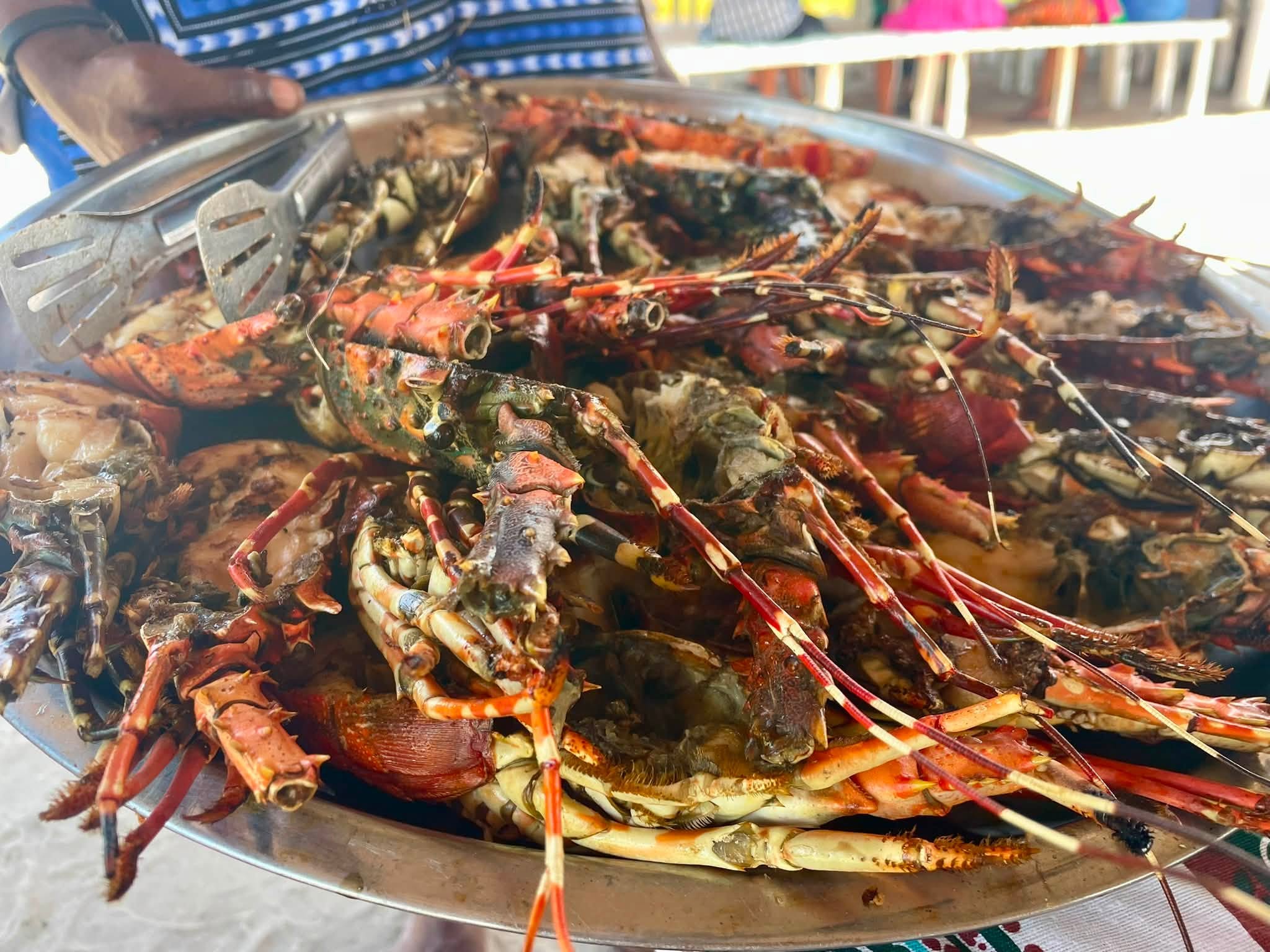 image of seafood during lunch